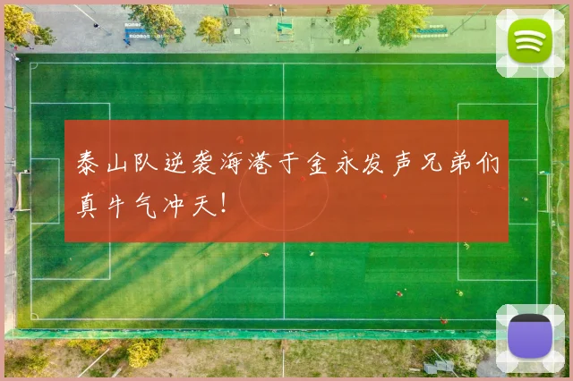 泰山队逆袭海港于金永发声兄弟们真牛气冲天!