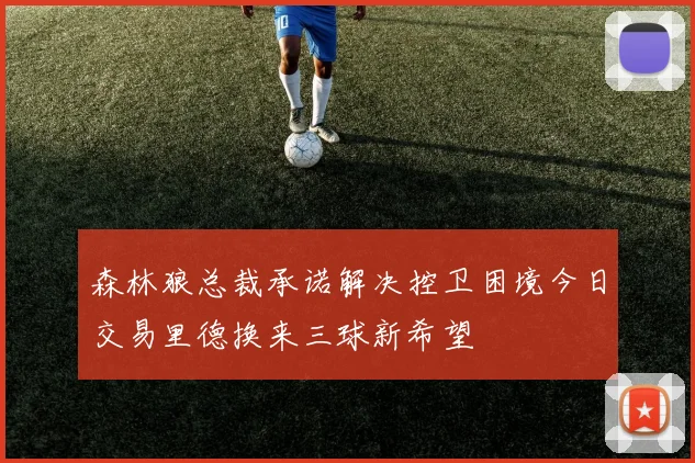 森林狼总裁承诺解决控卫困境今日交易里德换来三球新希望