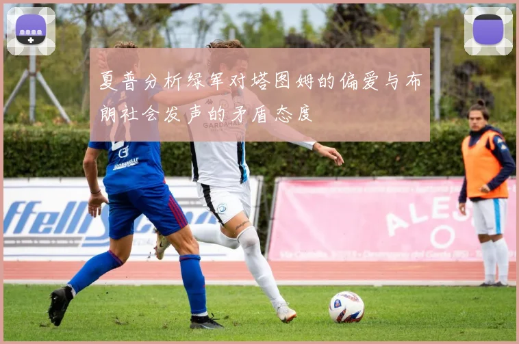 夏普分析绿军对塔图姆的偏爱与布朗社会发声的矛盾态度